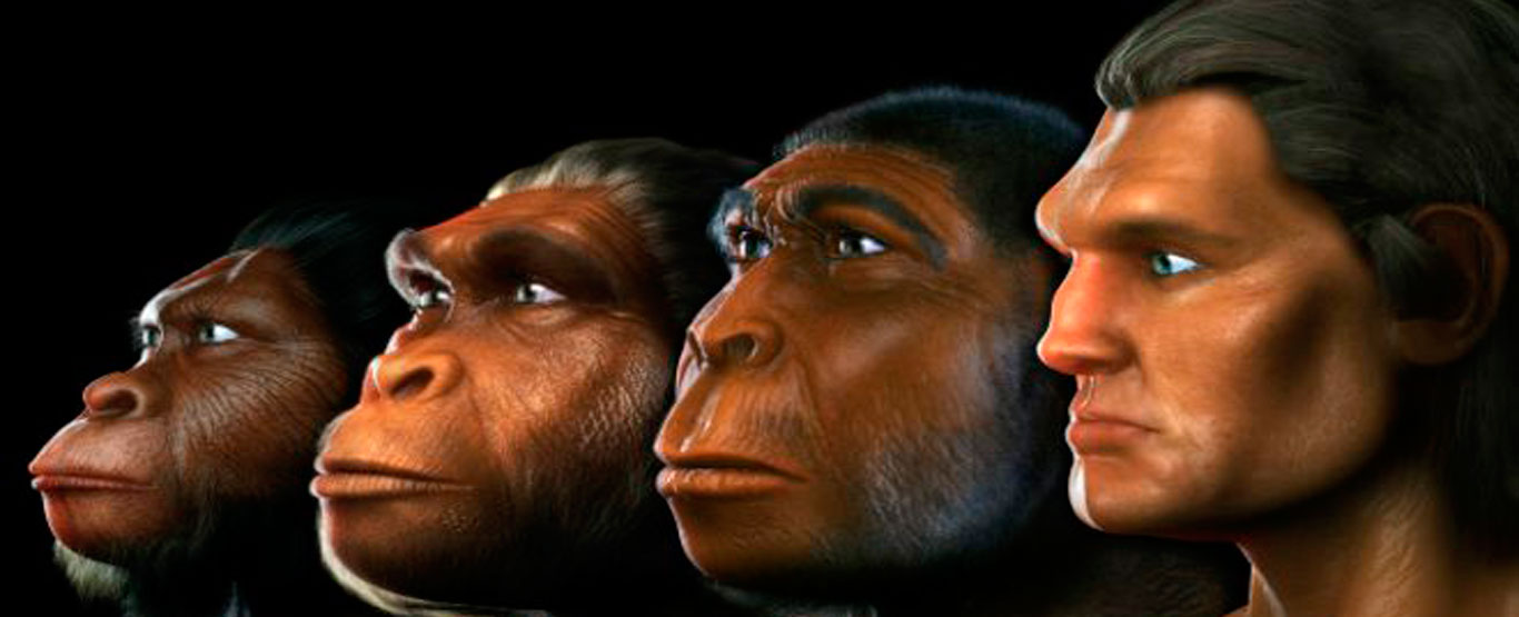 EVOLUINDO UM MACACO PARA O PRIMEIRO SER HUMANO