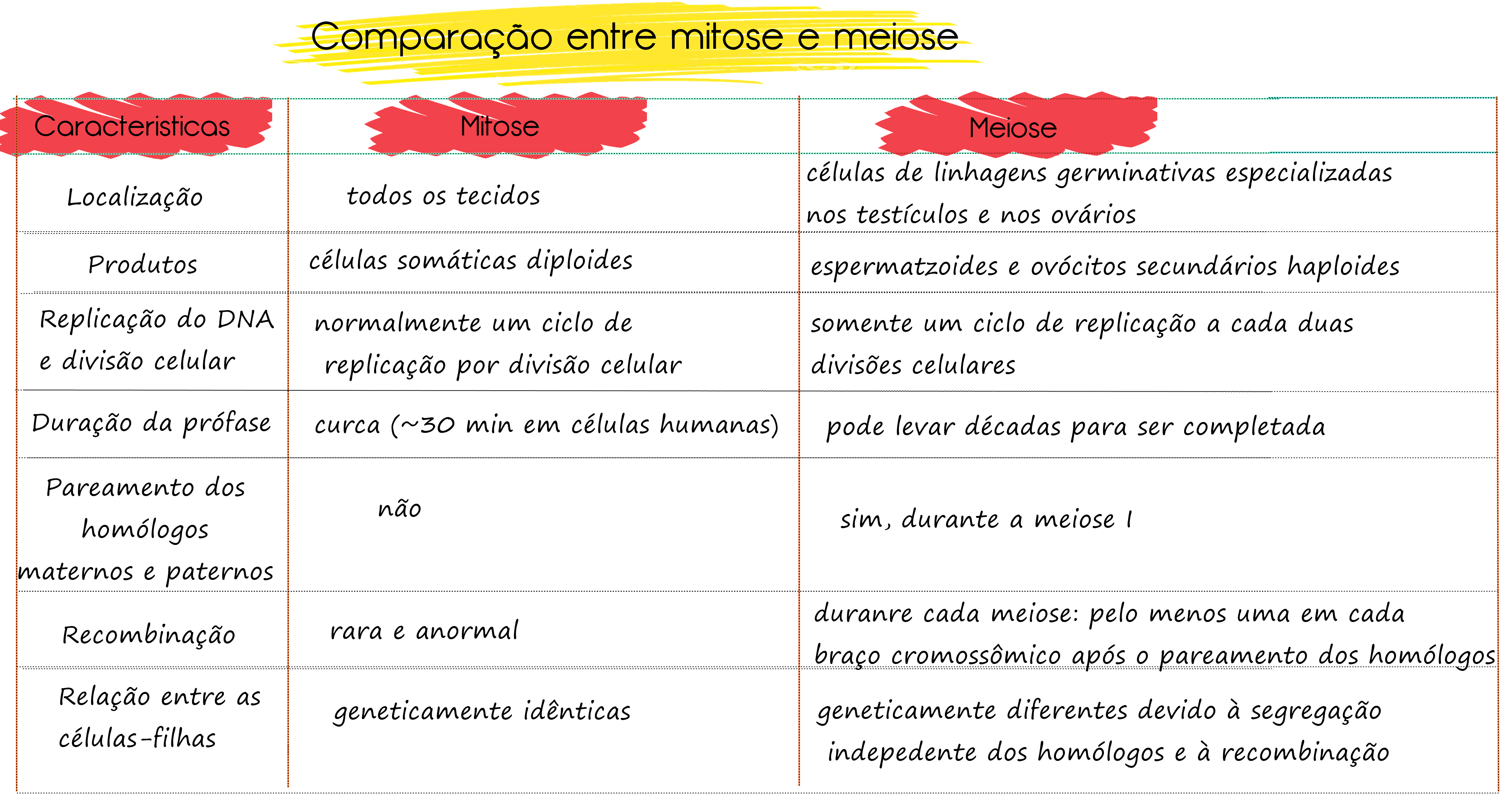 meiose-mitose - Ponto Biologia
