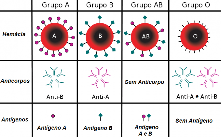 Biologia: Sistema ABO E Grupos Sanguíneos