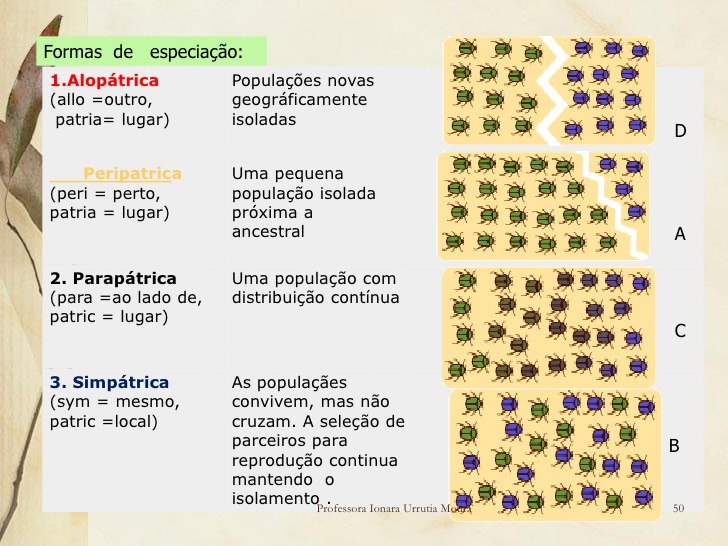 Como Se Formam Novas Espécies? - Ponto Biologia