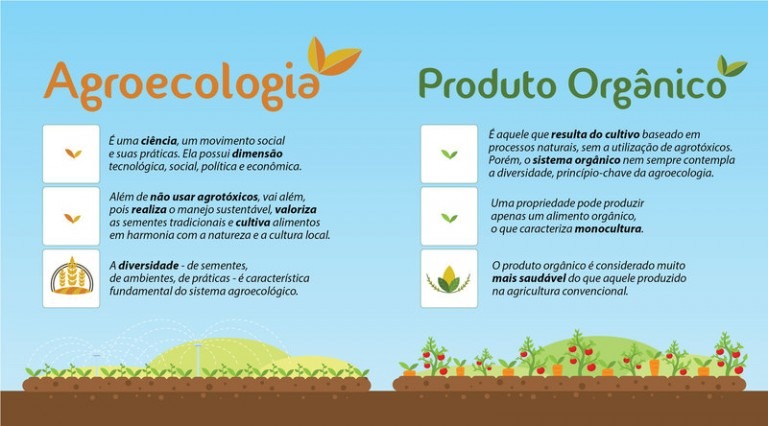 O que é agroecologia? - Ponto Biologia