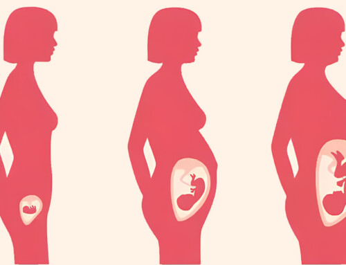 Mudanças que acontecem no corpo durante a gravidez